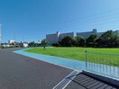 防災公園(公園)まで354m ハーモニーテラス西葛西Ⅱ