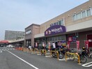 ウエルパーク大泉学園店(ドラッグストア)まで84m ハイツダイネツ