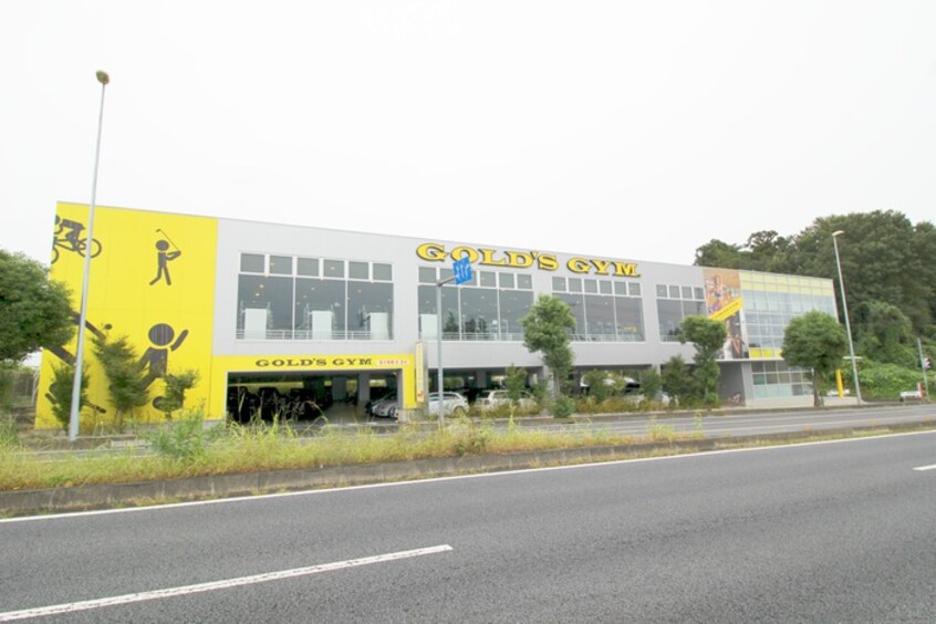 ゴールドジム(ビデオ/DVD)まで280m 中尾コンセプトハウス