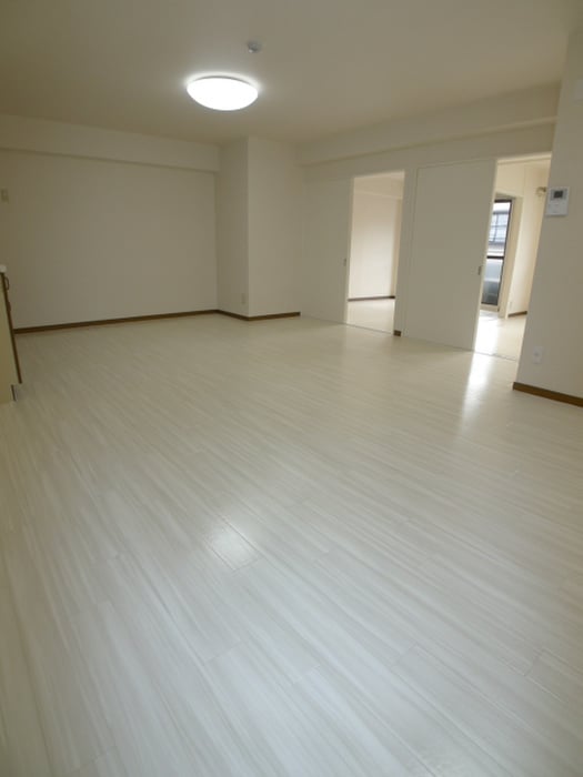 居室 キャピタル南越