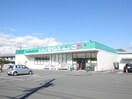 セイムス平塚東真土店(ドラッグストア)まで230m ルミエールＹ