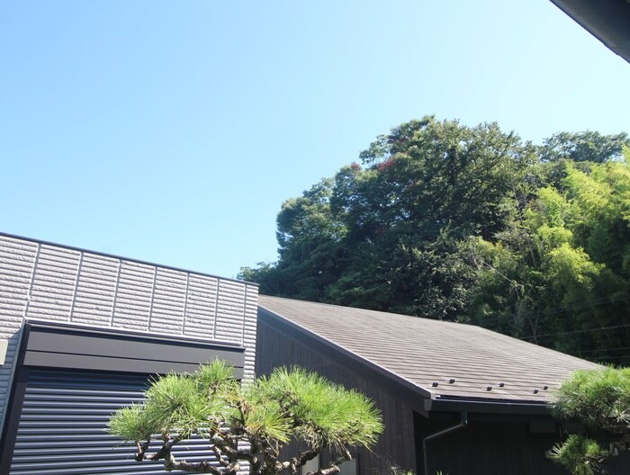 室内からの展望 メゾンパ－クサイド