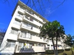 高洲二丁目団地第6-4号棟(404)