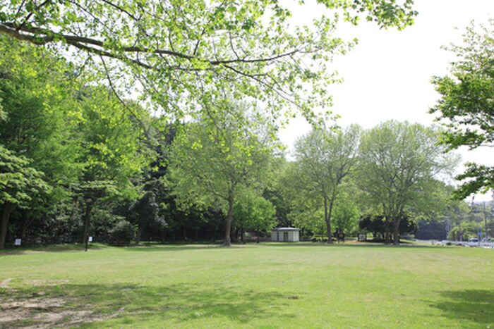 富岡総合公園(公園)まで577m Kolet横浜富岡西