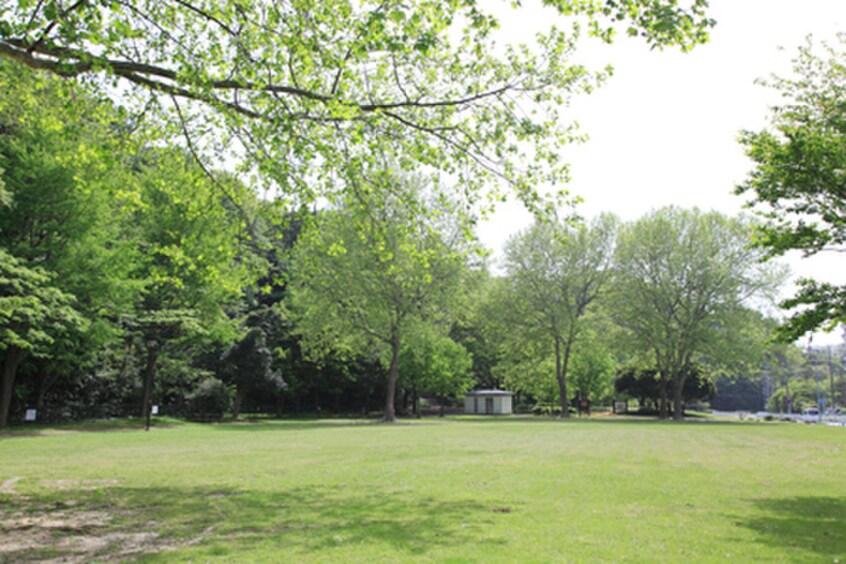 富岡総合公園(公園)まで577m Kolet横浜富岡西