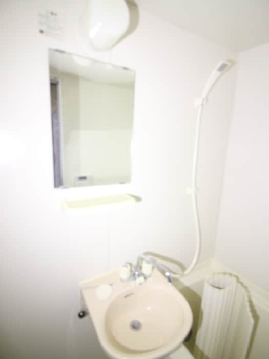 洗面 パレグリスィ－ヌ