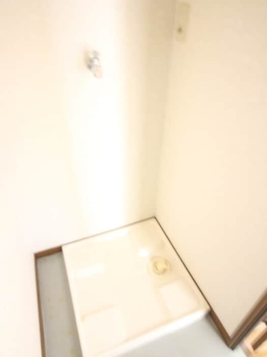 洗濯機置場 パレグリスィ－ヌ