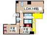 ｺﾝﾌｫﾘｱ成増ｸﾞﾘｰﾝｻｲﾄﾞ 2LDKの間取り