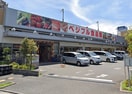 ベジフル食品館(スーパー)まで450m 第二大野ハイツ