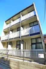 ピークシーダー