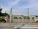 登戸小学校(小学校)まで162m TM登戸