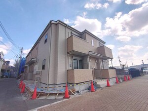 アムールカメリア