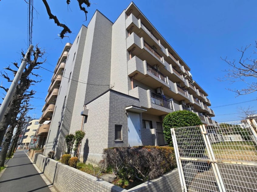 周辺環境 グランドステータス中村