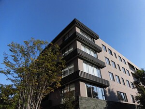 The Upper House