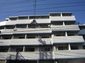 完成写真