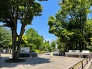 教育の森公園(公園)まで1100m GRAN PASEO　文京小日向