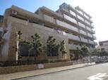 ﾗｲｵﾝｽﾞﾏﾝｼｮﾝ堀切菖蒲園(214)