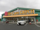 Fit Care DEPOT野川店(ドラッグストア)まで468m 和田ハイツ
