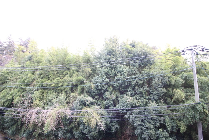 室内からの展望 シャンテメゾン井上Ｎｏ．６