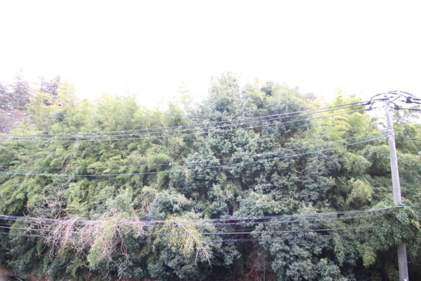 室内からの展望 シャンテメゾン井上Ｎｏ．６