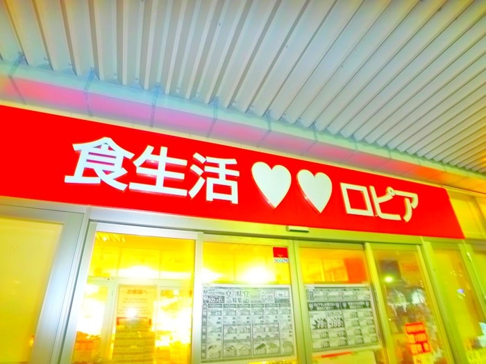 ロピア(スーパー)まで151m AJ南柏First