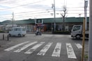 ＦＵＪＩ稲田堤店(スーパー)まで600m アイビーコート