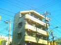 完成写真