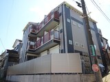 パレットコート
