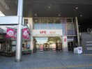 相鉄ローゼン(スーパー)まで411m コ－ポ飯高Ｂ