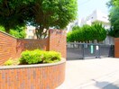 大谷場小学校(小学校)まで366m Ridente Minamiurawa