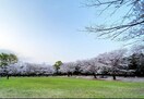 蕨市民公園(公園)まで100m ペアパ－ク２１