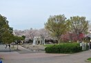 南河原公園(公園)まで350m ラック・Y