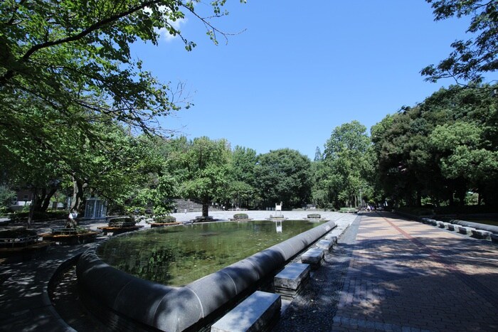 教育の森公園(公園)まで700m ヒル護国寺