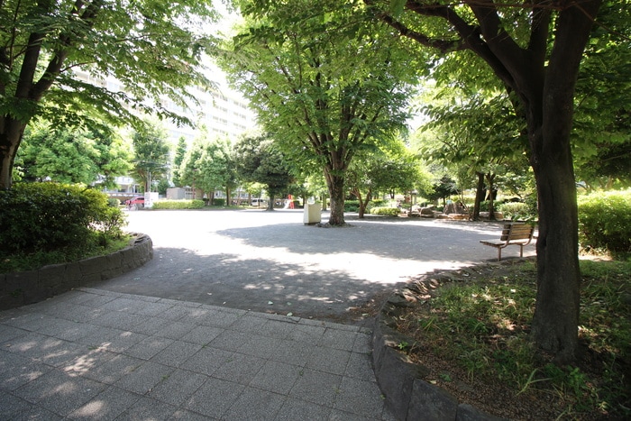 イチョウ公園(公園)まで30m ヴィラロ－ゼひばりヶ丘