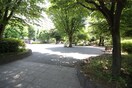 イチョウ公園(公園)まで30m ヴィラロ－ゼひばりヶ丘