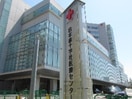 日本赤十字社医療センター(病院)まで500m グリ－ンハイム