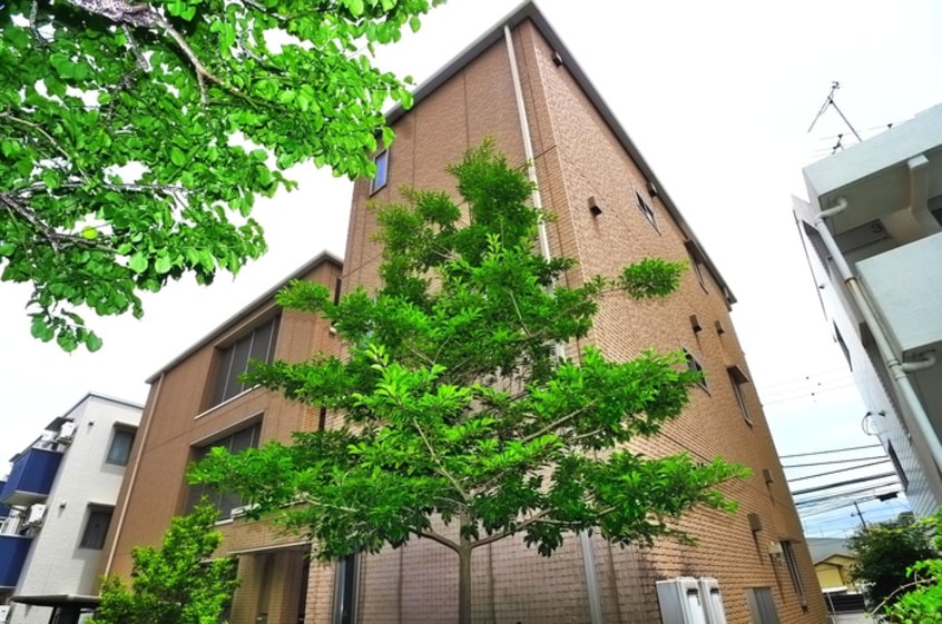 その他 カサヴェルデ