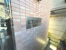 外観写真 ピア・クレスト