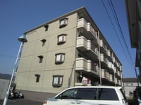 マリナスパジオ