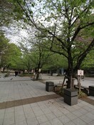 桜川公園(公園)まで400m コートラクリア京橋