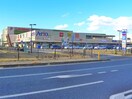 アリオ市原店(ショッピングセンター/アウトレットモール)まで1300m Casa Soave
