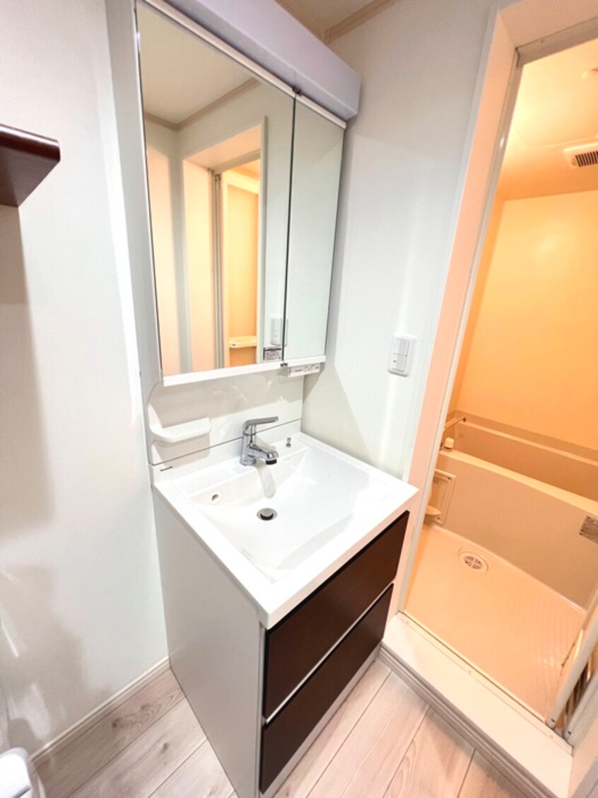 洗面 ﾊｰﾐｯﾄｸﾗﾌﾞﾊｳｽｱﾆｰｶﾞｰﾃﾞﾝ