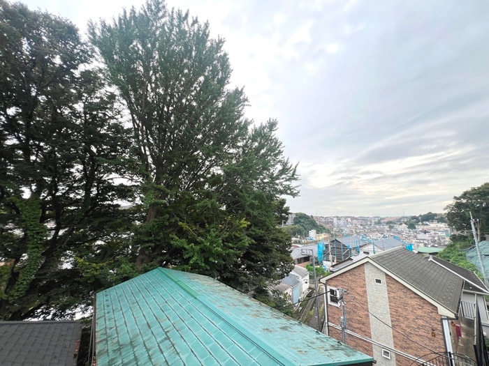 室内からの展望 ﾊｰﾐｯﾄｸﾗﾌﾞﾊｳｽｱﾆｰｶﾞｰﾃﾞﾝ