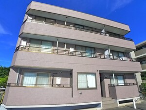 ＭＥＲＩＤＩＡＮⅡ