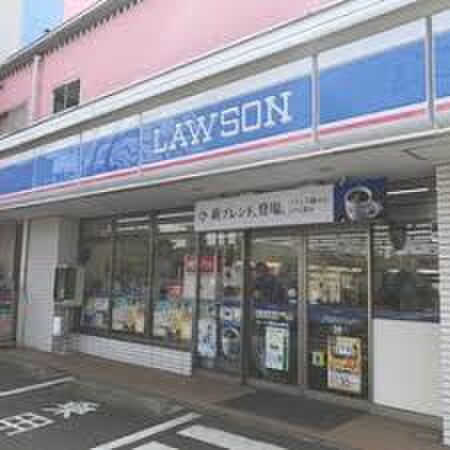 ローソン 横浜仏向町店(コンビニ)まで750m 中丸ｱﾊﾟｰﾄ