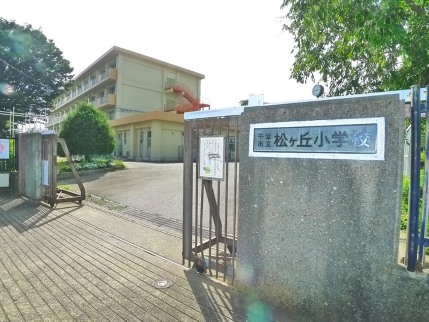 千葉市立松ヶ丘小学校(小学校)まで750m 宮崎　ハイツ