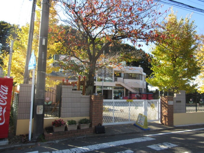 戸塚すみれ幼稚園(幼稚園/保育園)まで100m ガ－デンハウス吉原