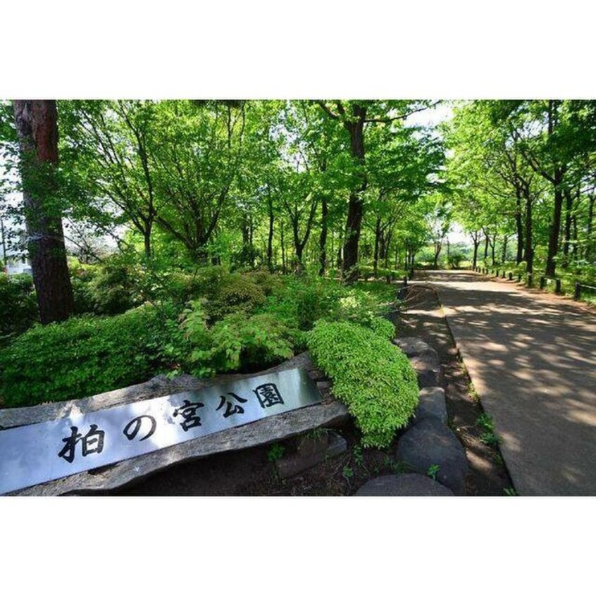 柏の宮公園(公園)まで100m プライムコ－ト浜田山