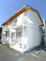 レピュート錦