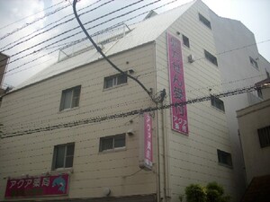 尾崎マンション(203)